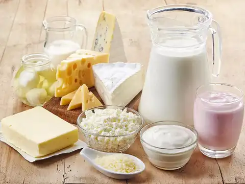 Dairy products: Reliable protein source