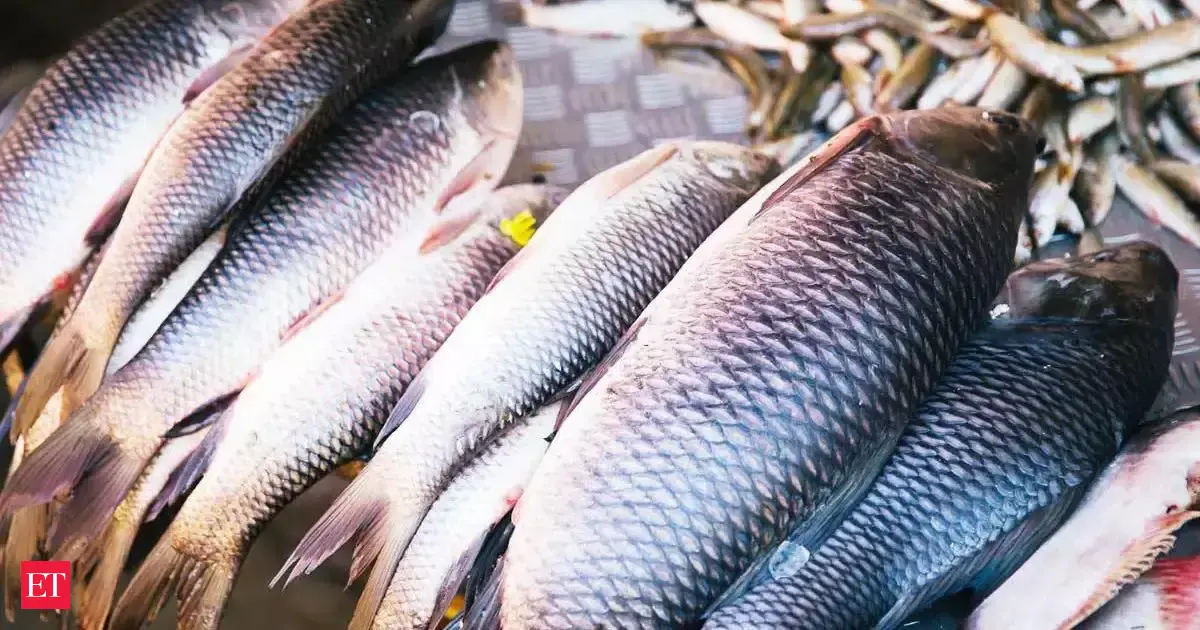Delhi moves to ratify WTO fish pact, seeks cushion for developing nations