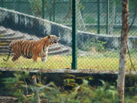 Sundarbans National Park, West Bengal