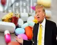 Trump slaps 100% tariff on branded drugs; Indian pharma companies see limited near-term impact