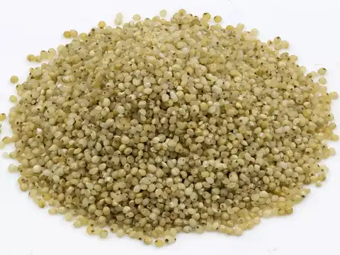 Samak Chawal (Barnyard Millet)