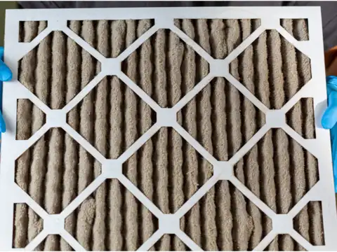  Mold, microbes, and poor maintenance