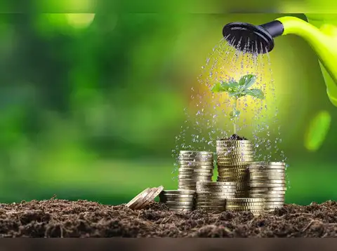 Specialised investment funds