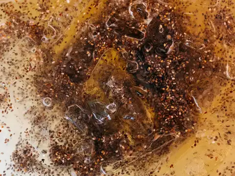 Chia ice cubes