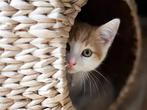 They help measure spaces
