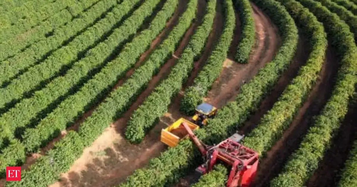 JICA signs $75 mn loan with ECOM to support Asian coffee farmers