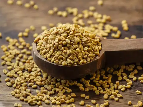 Fenugreek (Methi)