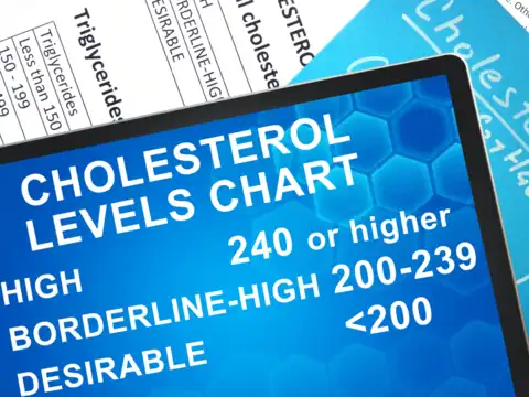Improves Cholesterol Levels