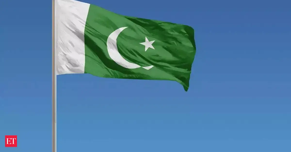 Pakistan becoming "rogue state" with alarming enforced disappearance, says human rights expert at sidelines of UNHRC session
