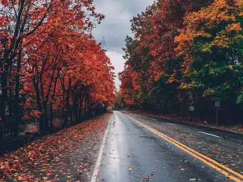 Allegheny National Forest, Pennsylvania