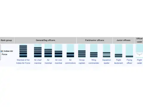  Who does what: ranks and structure