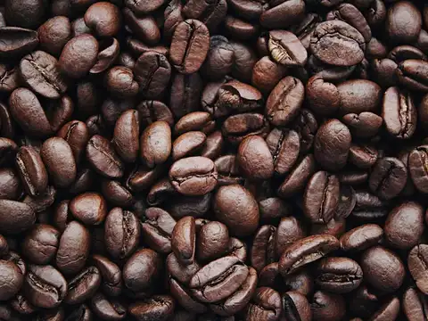 Raw beans vs. Roasted beans