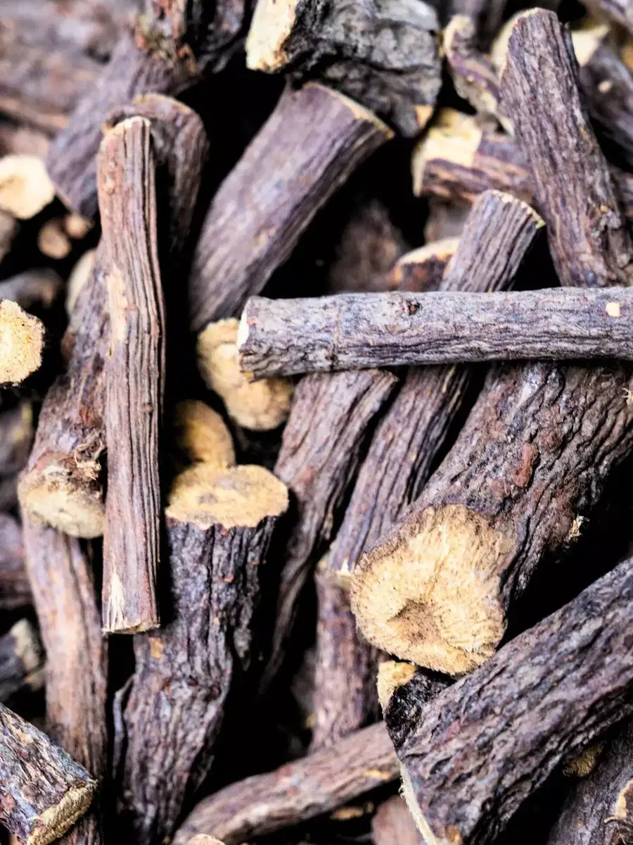 “Root of immortality”: 6 benefits of giloy (“Amrita”) | EconomicTimes