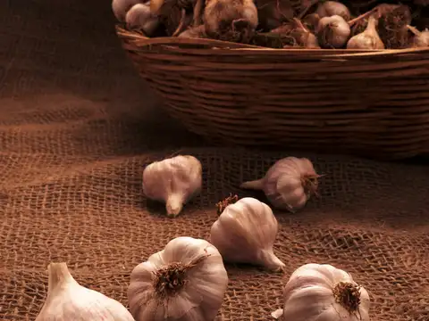 Garlic (lasun)