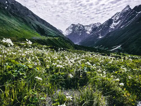 Valley of Flowers National Park, Uttarakhand