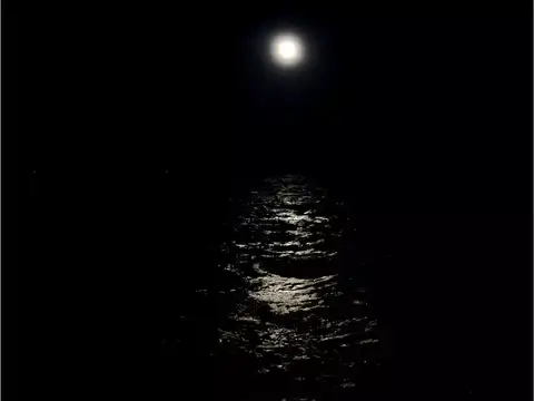  Can moonlight or tides affect follicles?