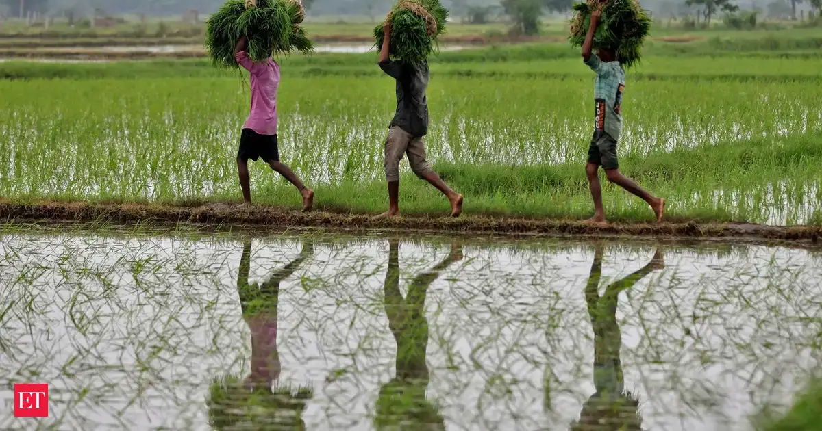 https://img.etimg.com/thumb/msid-124541685,width-1200,height-630,imgsize-311312,overlay-economictimes/articleshow.jpg