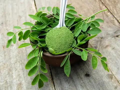 Daily nutrition with leaf powder