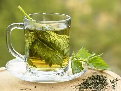  Nettle leaf (Urtica dioica)