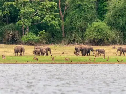  Kabini (5&ndash;6 hrs)