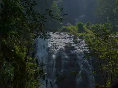 From Bengaluru: Coorg (Kodagu) (5&ndash;6 hrs)