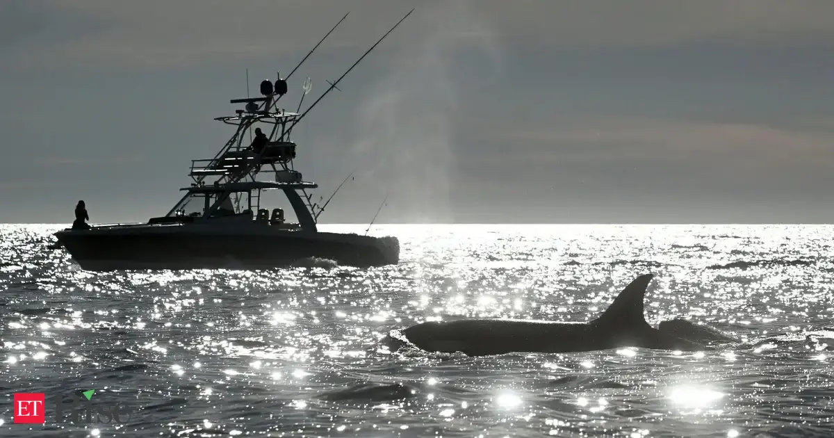 WTO Fisheries Agreement: India’s concerns, past opposition, and the road ahead
