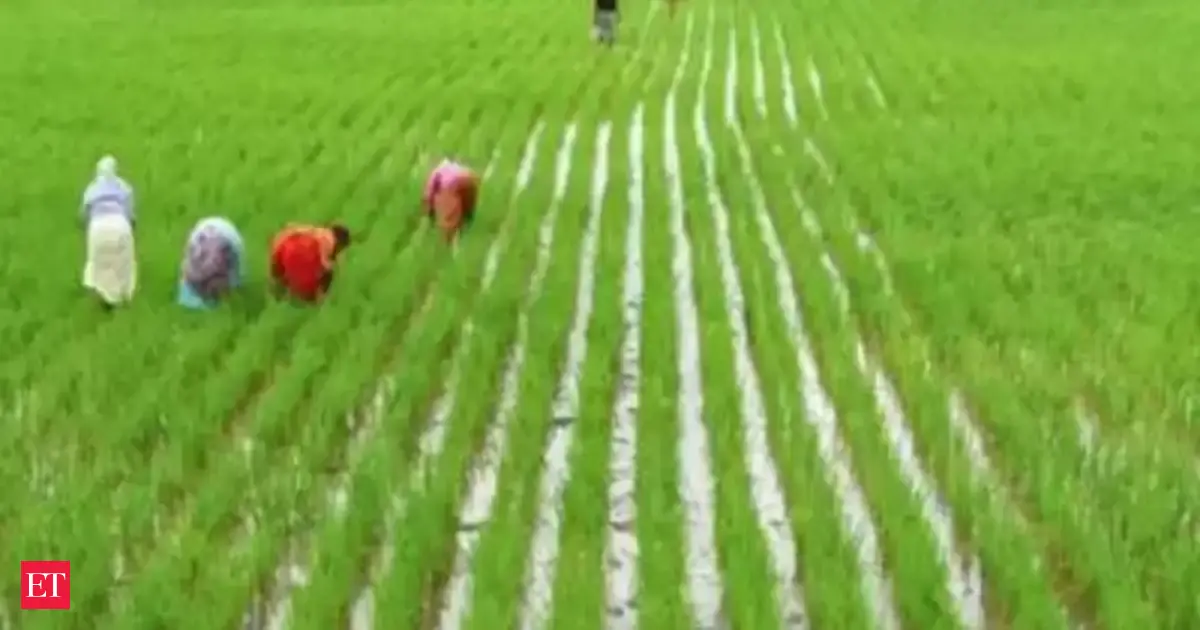 Tamil Nadu expands paddy storage by 3 lakh metric tonnes, total capacity exceeds 7 lakh tonnes