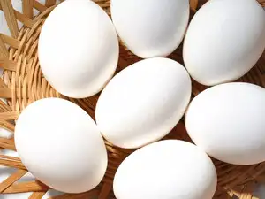 us-egg-prices-crash-86-since-march-highs-why-is-the-egg-rate-plunging-so-fast-and-should-americans-expect-cheaper-grocery-shelves-ahead.jpg