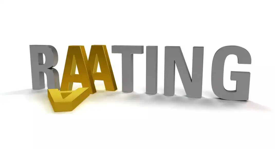 Can a new rating agency be a substitute for reforms?