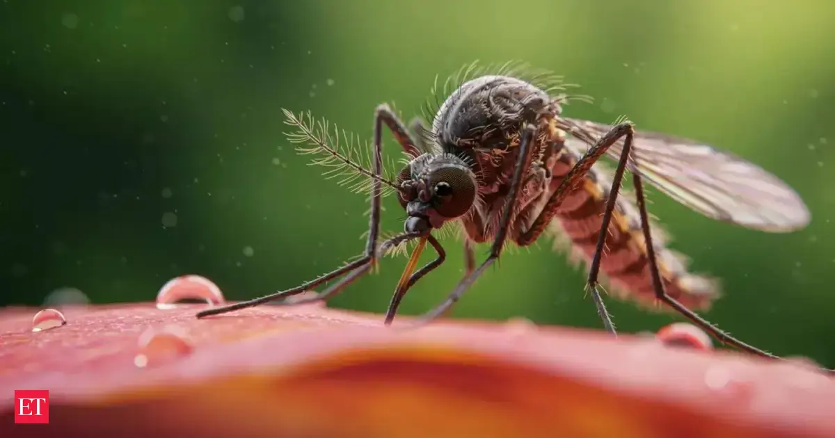 Mosquitoes found in Iceland for the first time in history. Now only one place on earth remains mosquito-free