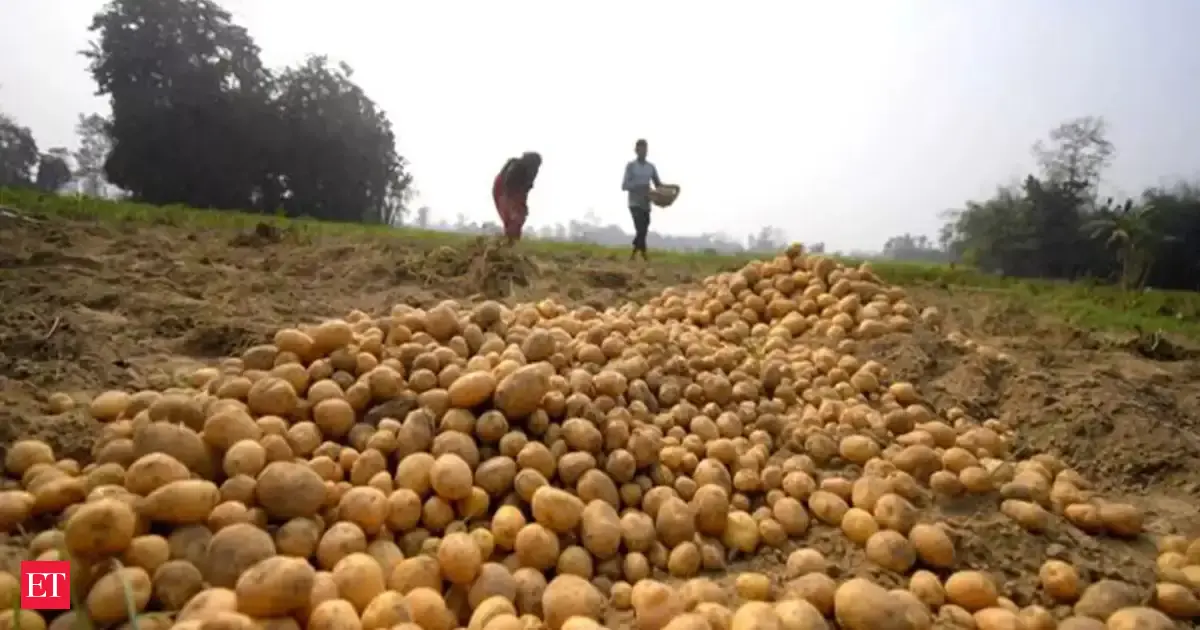 Processed potato products from India gaining ground in Southeast Asian markets: GTRI