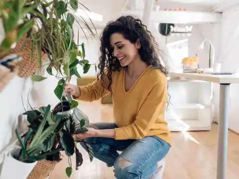 Natural breaks and strolling