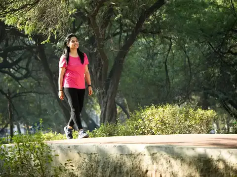 Morning light movement (15&ndash;20 min)