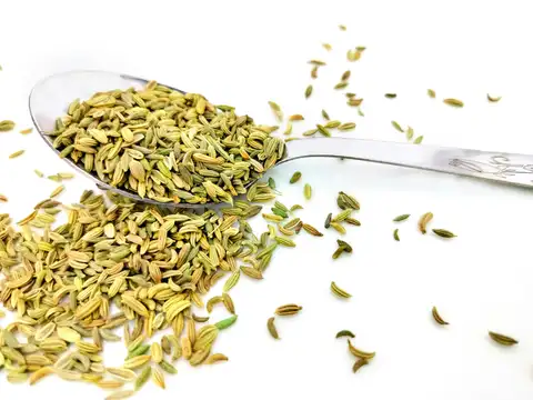 Fennel seeds