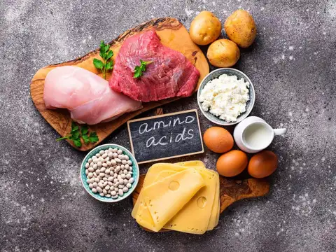 Perk 4: High‑quality, highly digestible protein