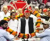 Bihar elections: 20 Samajwadi Party star campaigners to ramp up support for allies