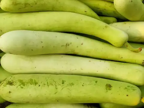 Bottle gourd (lauki/doodhi)