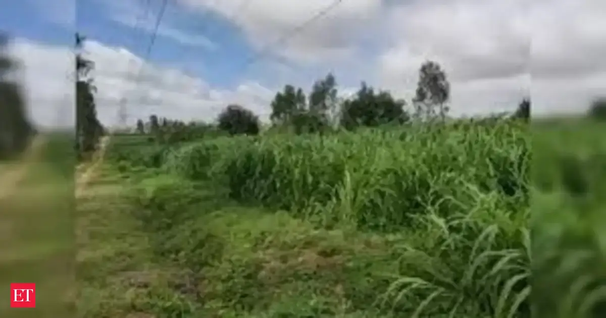 Karnataka govt set rules for layout approvals on converted land outside planning areas