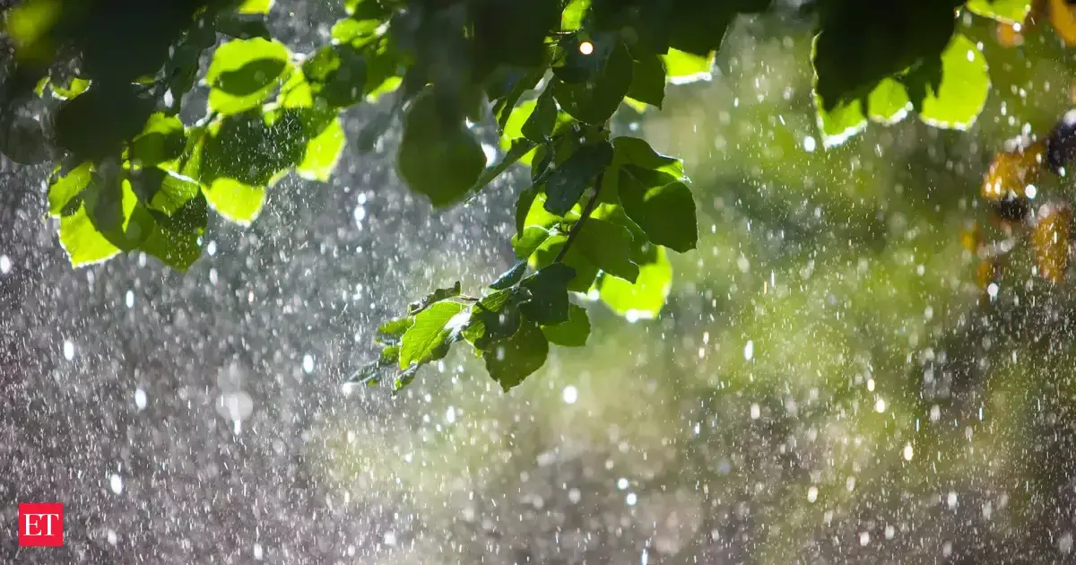 Algumas partes do Rajastão recebem chuva e há previsão de mais chuva Algumas partes do Rajastão recebem chuva e há previsão de mais chuva