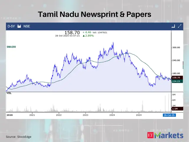 Tamil Nadu Newsprint & Papers