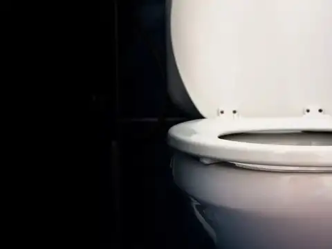 What &ldquo;normal&rdquo; looks like