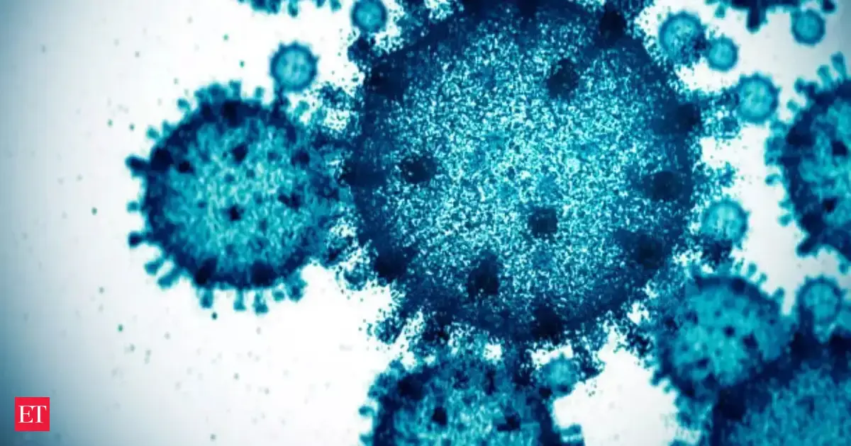 new Covid strain 2025: New Covid strain found in moustached bats — scientists fear it’s been spreading for months new Covid strain 2025: New Covid strain found in moustached bats — scientists fear it’s been spreading for months