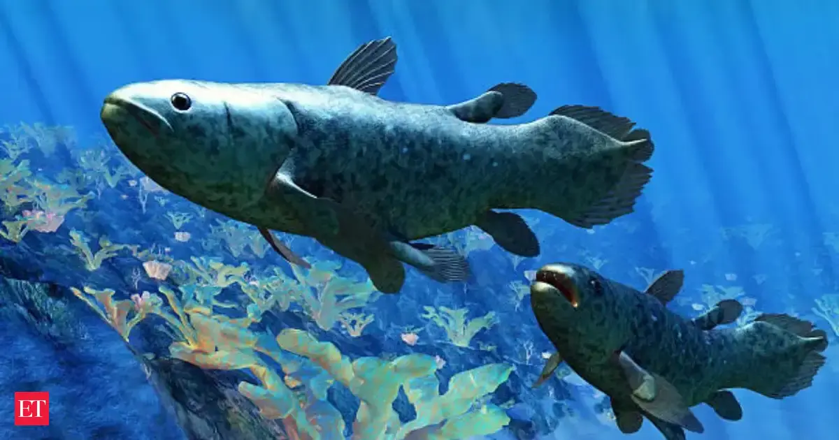Scientists discover misidentified museum fossils are actually from the ancient ‘living fossil’ coelacanth