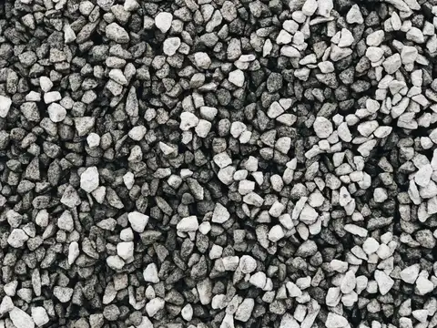 Why urad dal is one of the best vegetarian sources of protein