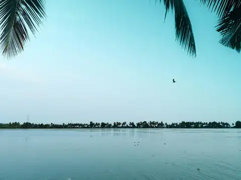 Coastal drive in Kerala: Kochi to Varkala