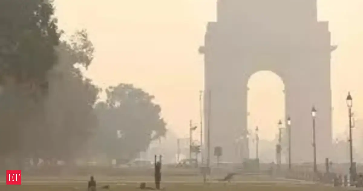 Delhi air quality crisis: Companies embrace remote work as residents seek cleaner getaways