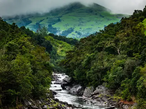 Chikmagalur: Where coffee meets the clouds