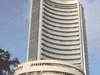 Nifty ends above 5300; TCS, NTPC, DLF up