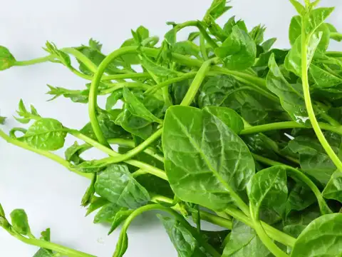  Leafy greens (spinach, kale)