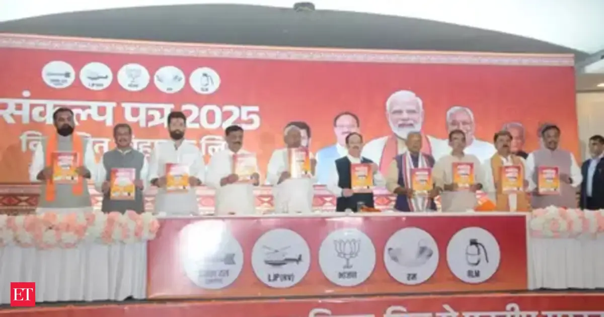 Bihar Elections 2025: Poll race heats up as development, caste and makhana take centre stage in Mithilanchal